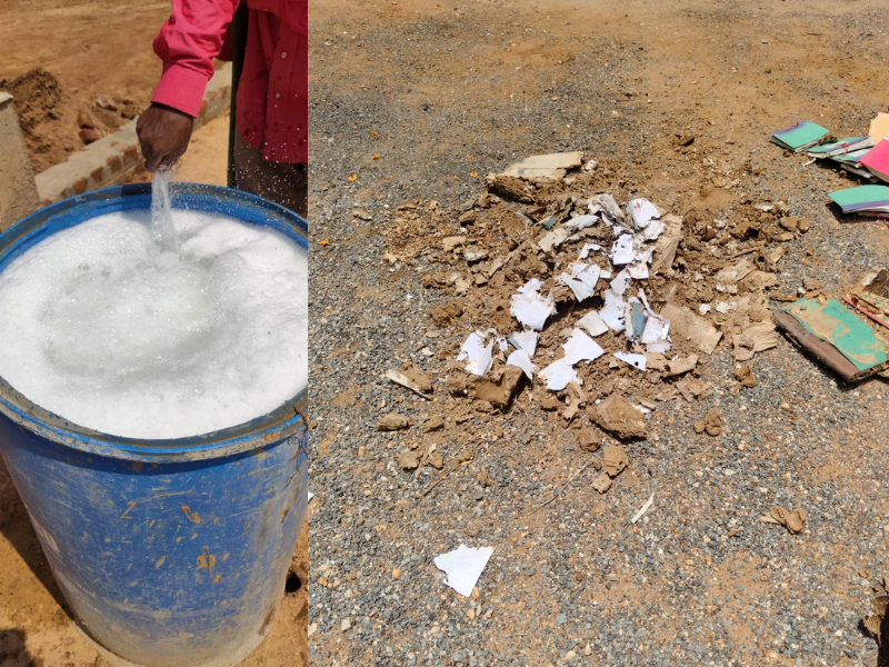 Pest Control Gallery 6